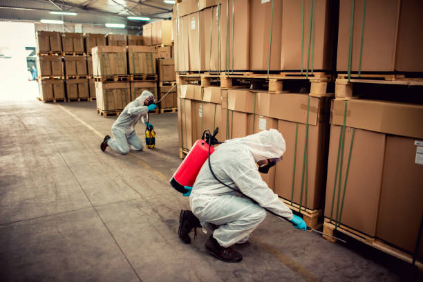 Best Pest Control for Homes  in Callaway, FL