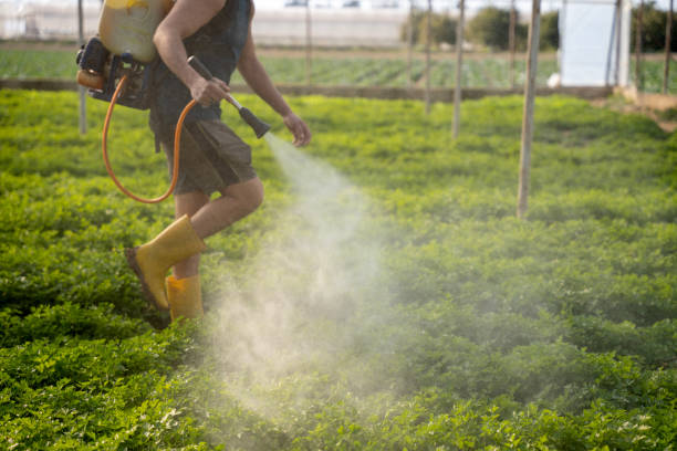 Best Pest Control Near Me  in Callaway, FL