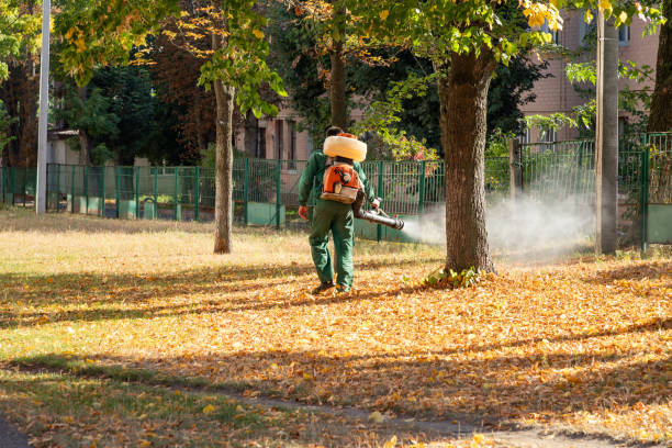 Best Residential Pest Control  in Callaway, FL